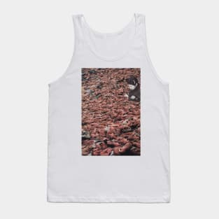 Counting Walrus Tank Top